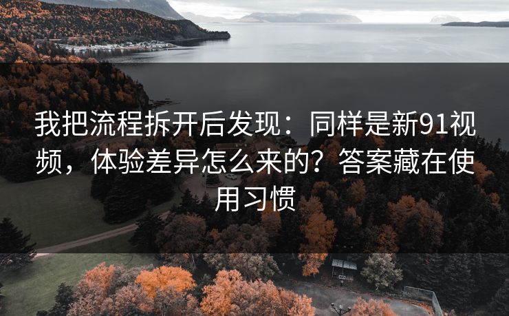我把流程拆开后发现：同样是新91视频，体验差异怎么来的？答案藏在使用习惯