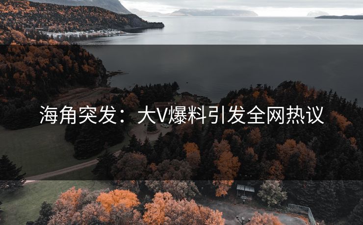 海角突发：大V爆料引发全网热议