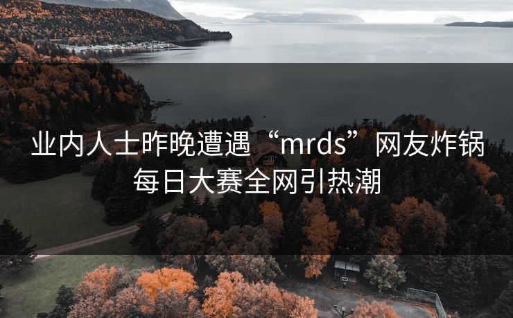 业内人士昨晚遭遇“mrds”网友炸锅每日大赛全网引热潮