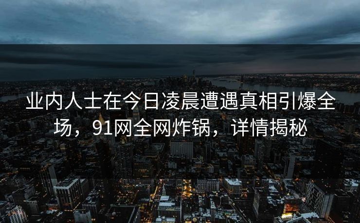 业内人士在今日凌晨遭遇真相引爆全场，91网全网炸锅，详情揭秘